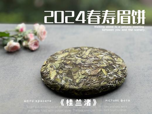 【好茶来了】花香更艳，等级和香气、滋味都更胜往年的2024春寿眉饼《桂兰渚》 商品图3