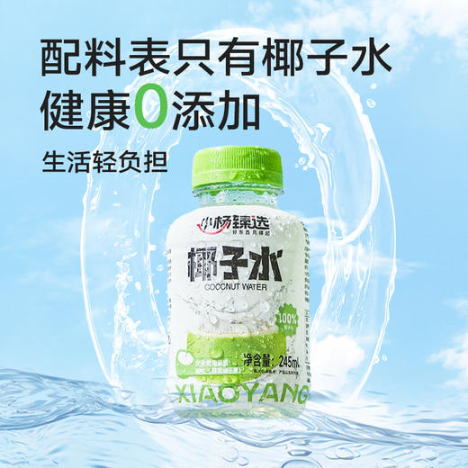 小杨臻选 100%椰子水 0脂天然电解质饮品 245ml*10瓶 NFC纯椰水 商品图2