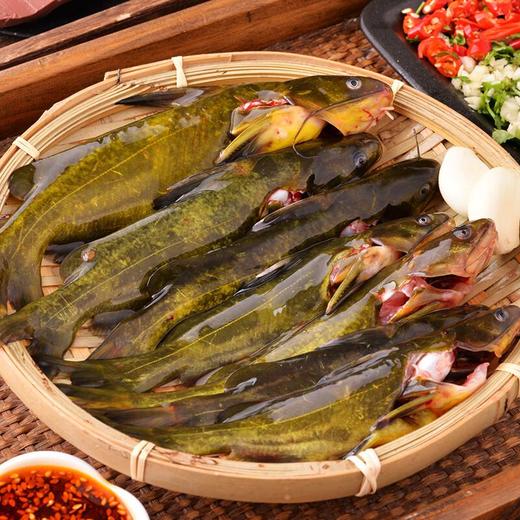 活杀三角峰 约250g/份 商品图0