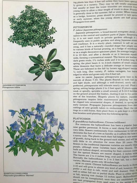 日本庭园图集 百余幅彩色插图 精装16开 商品图13