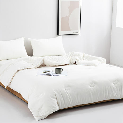 红蜻蜓大豆a类纤维被子冬被棉被芯加厚四季款太空被双人-原棉大豆被 商品图1