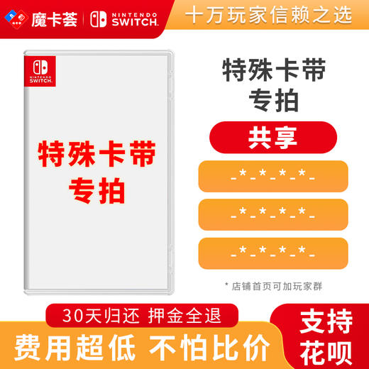 【共享】特殊卡带专拍-Switch游戏卡 商品图0