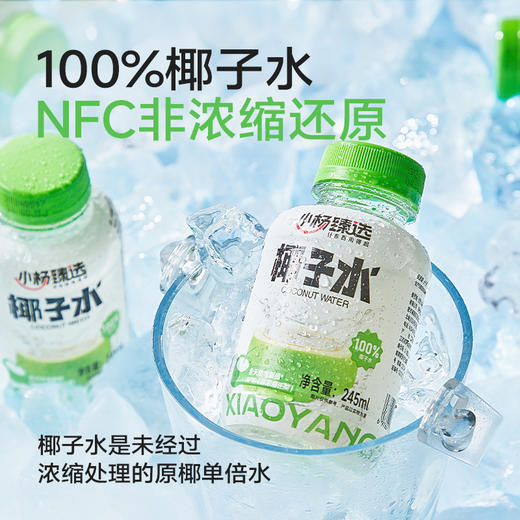 小杨臻选 100%椰子水 0脂天然电解质饮品 245ml*10瓶 NFC纯椰水 商品图1