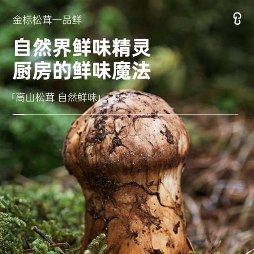 【松鲜鲜-鲜味组合】一品鲜1L+味极鲜1L+赠松茸调味料90g 商品图4