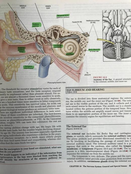 人体解剖图集 数千幅彩色插图 精装大16开 商品图11