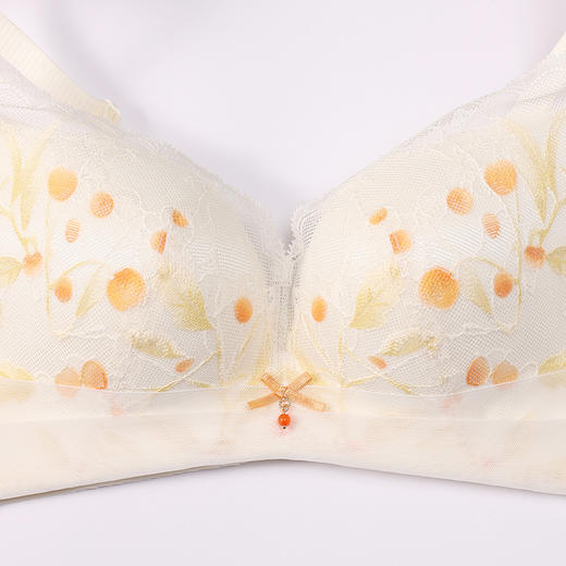 都市丽人内衣自然舒适常规文胸蕾丝薄文胸3/4杯三排扣无钢圈LBT2P1 商品图8