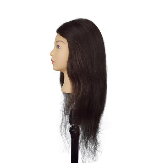 飞彩16寸棕色混合发女士教练头 商品图2