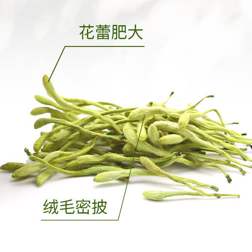 咏芝元 山东平邑金银花茶 商品图1