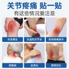百年扁氏红外镇痛贴 商品缩略图2