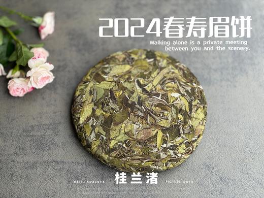 【好茶来了】花香更艳，等级和香气、滋味都更胜往年的2024春寿眉饼《桂兰渚》 商品图6