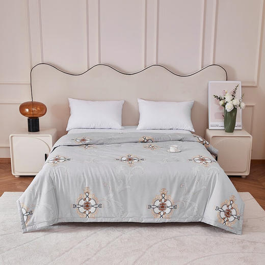 红蜻蜓被子冬被双人纤维被芯-云柔舒暖被 云柔舒暖被 商品图0