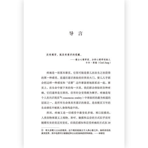 伤痕之歌：疼痛的黑暗历史 商品图2