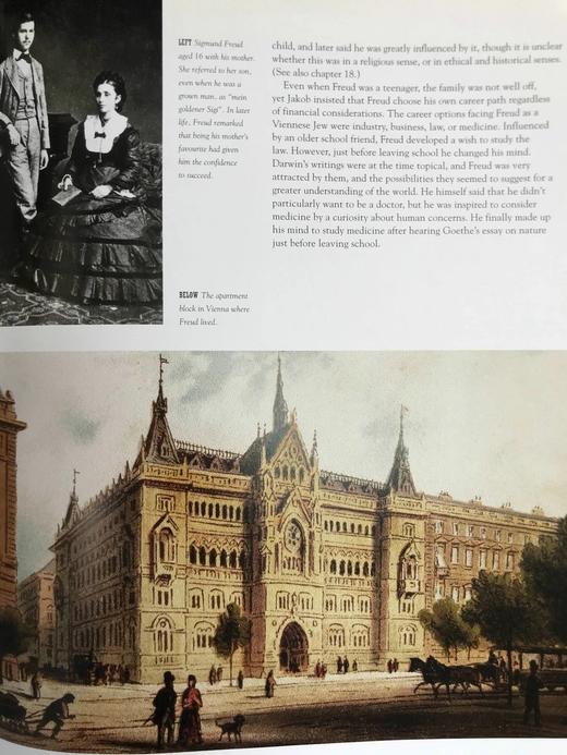 思维的探索者：弗洛伊德传 170余幅插图 精装大16开 商品图12