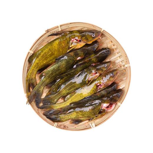 活杀三角峰 约250g/份 商品图3