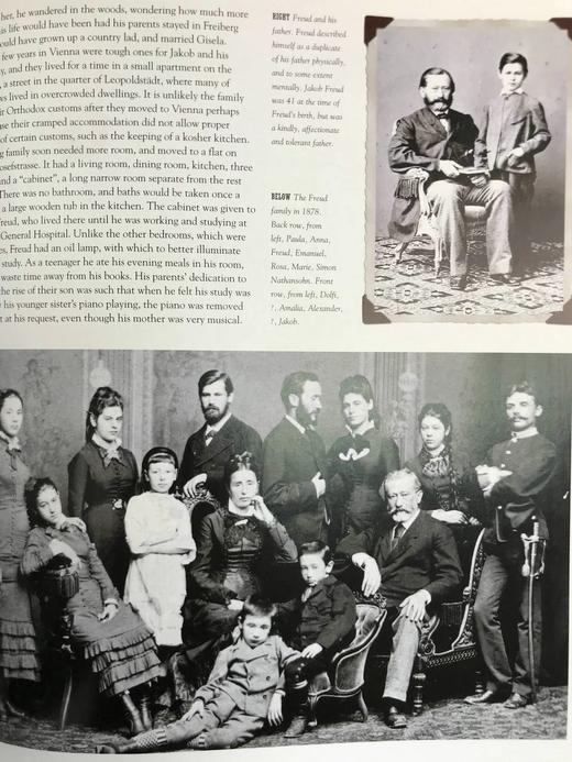 思维的探索者：弗洛伊德传 170余幅插图 精装大16开 商品图13