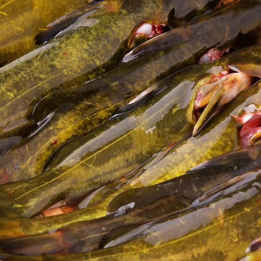 活杀三角峰 约250g/份 商品图1