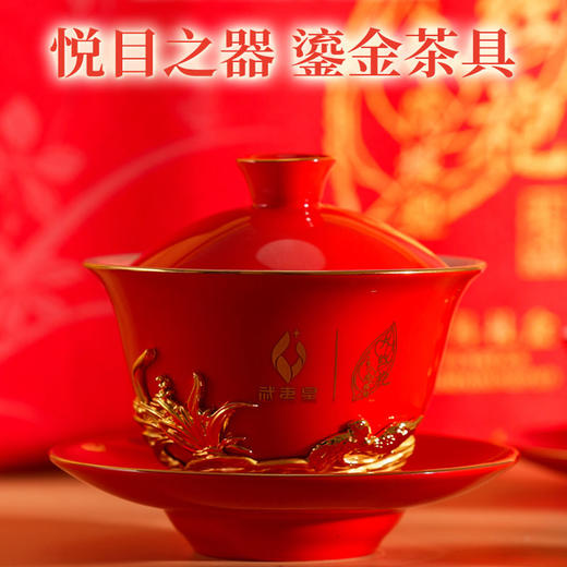 武夷星2023新礼宾大红袍60g每年限量999份 A1916 商品图2