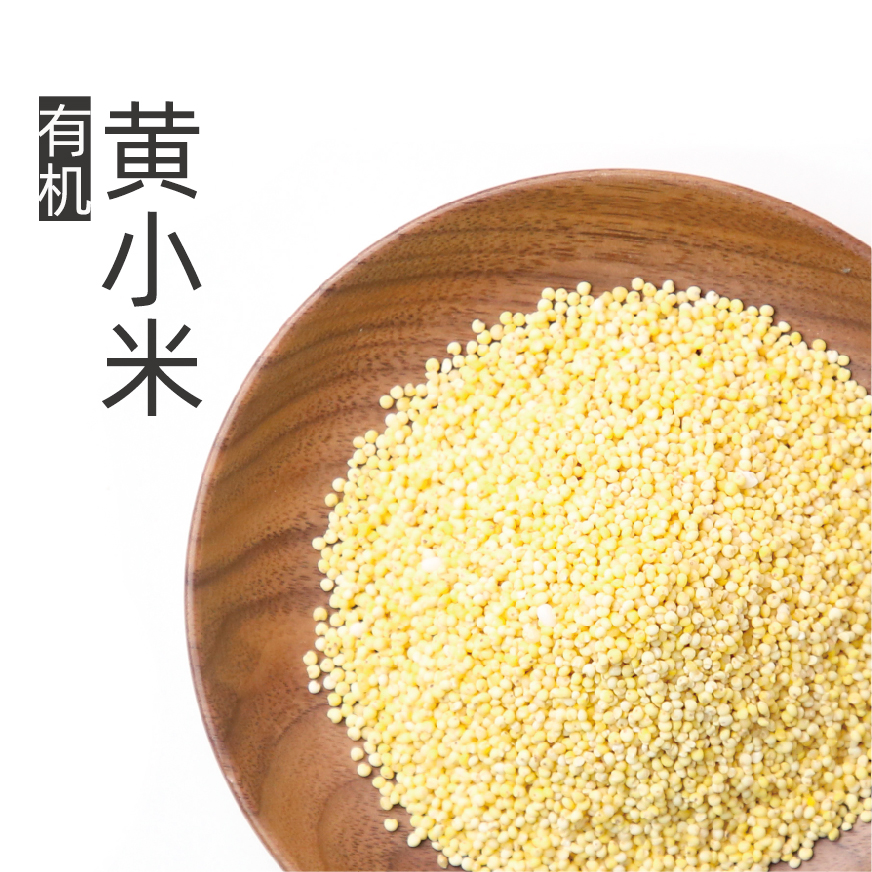 自营-有机黄小米580g