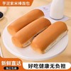 【江苏好物】芋泥紫米面包棒  110g/包 口感软糯 饱腹感强 商品缩略图5