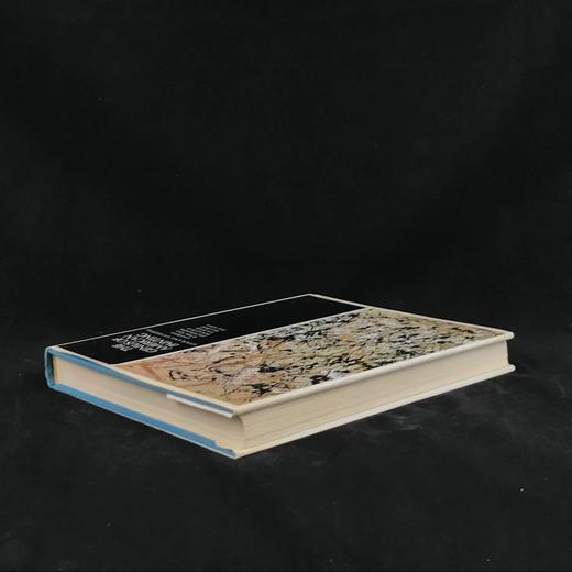 美国绘画天才图集 64幅彩色270幅黑白插图 精装大16开 商品图2