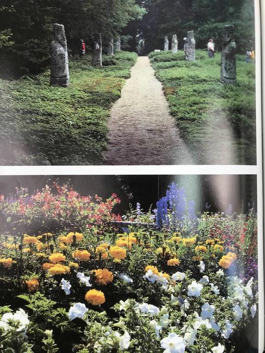 北美园艺指南 230余幅彩色插图 精装16开 商品图9