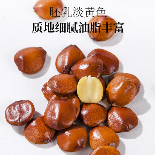 神农金康 炒熟酸枣仁30g /.罐 原生态真滋补喝护家人健康 商品图6
