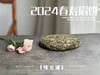 【好茶来了】花香更艳，等级和香气、滋味都更胜往年的2024春寿眉饼《桂兰渚》 商品缩略图5