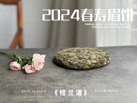 【好茶来了】花香更艳，等级和香气、滋味都更胜往年的2024春寿眉饼《桂兰渚》 商品图5
