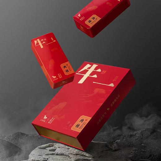 八马茶业·牛一武夷岩茶·肉桂51克(6包) 商品图2