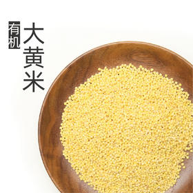 自营-有机大黄米580g