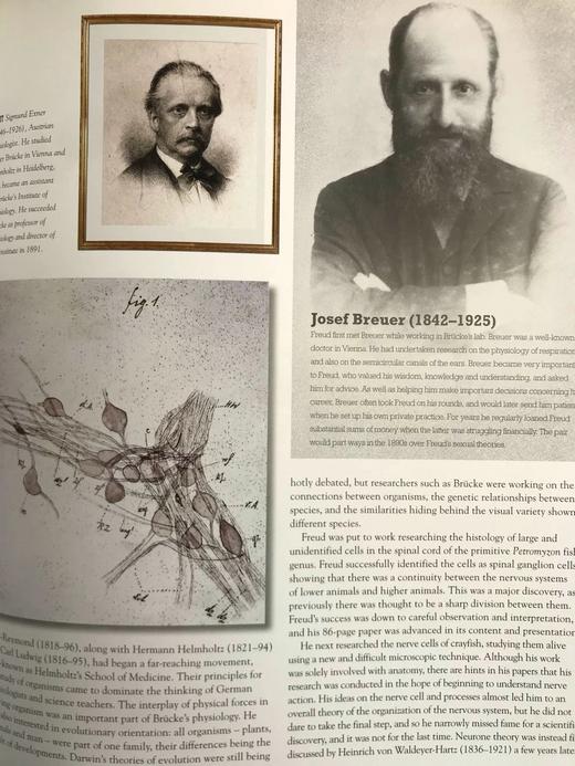 思维的探索者：弗洛伊德传 170余幅插图 精装大16开 商品图11