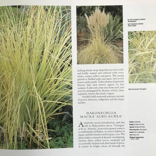 斑叶百科全书 数百幅彩色插图 精装16开 商品图9