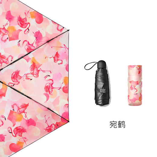 蕉下口袋系列五折伞（礼品款）-宛鹤 商品图0