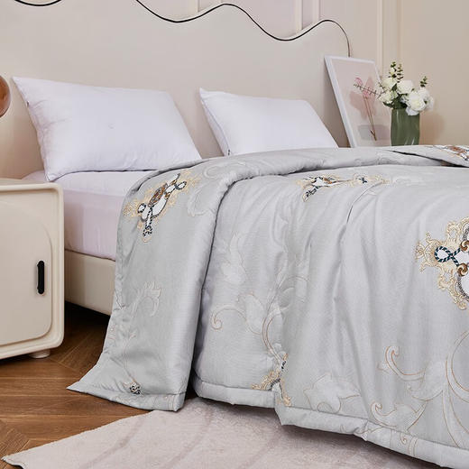 红蜻蜓被子冬被双人纤维被芯-云柔舒暖被 云柔舒暖被 商品图1