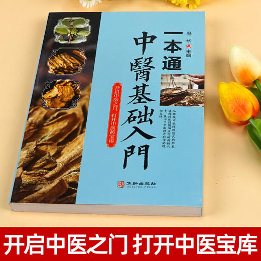 中医基础入门一本通 中医诊断中医基础理论中医入门知识书籍 商品图2