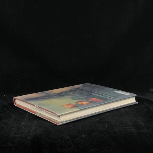 大脑的秘密生活 数百幅插图 精装16开 商品图2