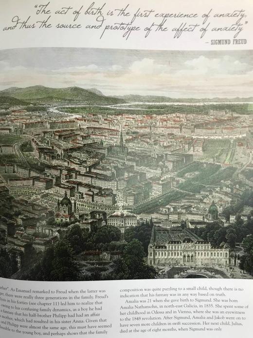 思维的探索者：弗洛伊德传 170余幅插图 精装大16开 商品图14