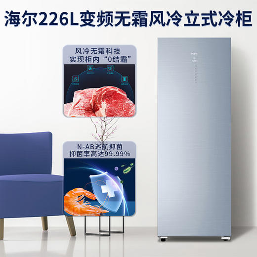 海尔（Haier）226升 -40℃风冷家用立式冰柜  抽屉式冷柜小冰柜家用小型BD-226WEGLU1 JD 商品图4