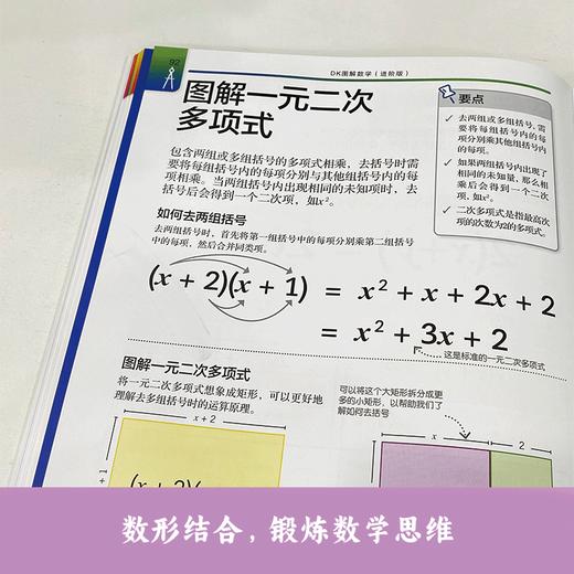 DK图解物理、图解数学进阶版 中小学物理 数学 图解清晰 商品图2