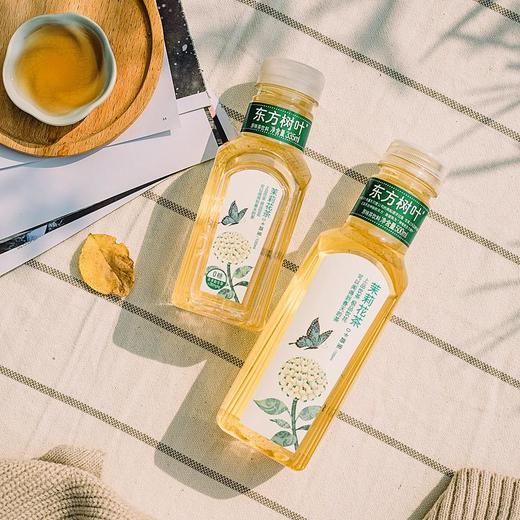 东方树叶茉莉花茶量贩装335ml*6 商品图2