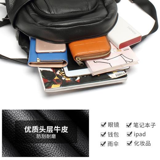 新款欧美风范正品双肩包真皮时尚旅行包包BW-6951-D 商品图4