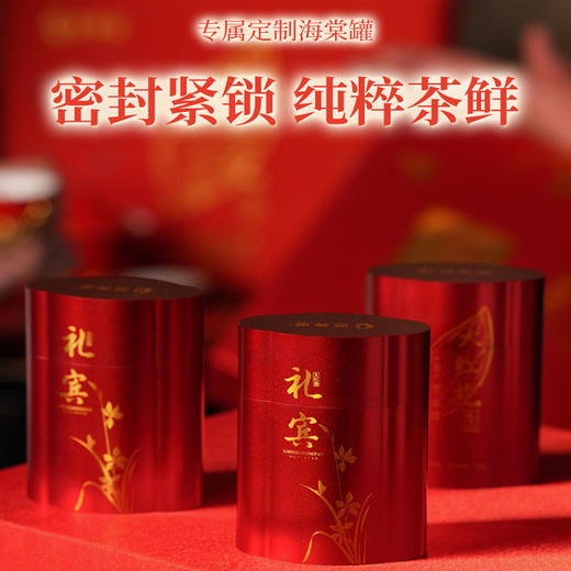 武夷星2023新礼宾大红袍60g每年限量999份 A1916 商品图1