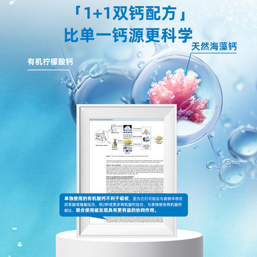 【保税仓】Ddrops滴卓思儿童液体海藻钙镁锌30条/罐 商品图5