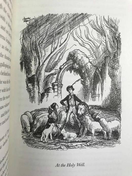 伊丽莎白·古吉《小白马》 数十幅精美插图 精装大32开带书匣 商品图6