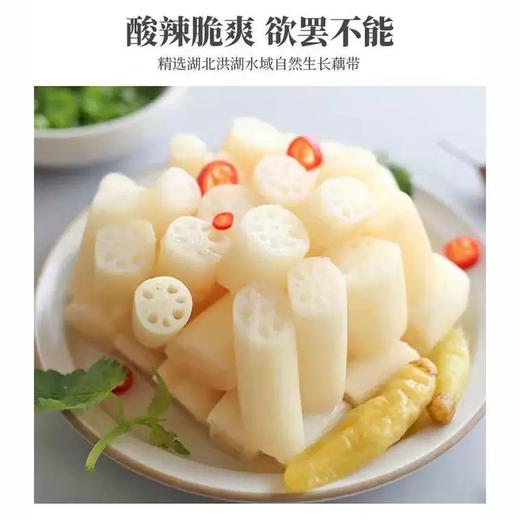 华贵洪湖藕带 (酸辣味)400g 商品图2