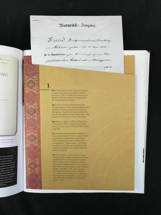 思维的探索者：弗洛伊德传 170余幅插图 精装大16开 商品图5