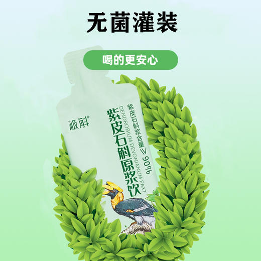 【建议4盒起囤】极斛高黎贡山紫皮石斛原浆 润养肠胃 含浆量高达百分之九十  30ml*7袋/盒 商品图2