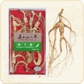 热售【林下“参”残质坚】长白山人参林下参（残参）30克装林下山参整支