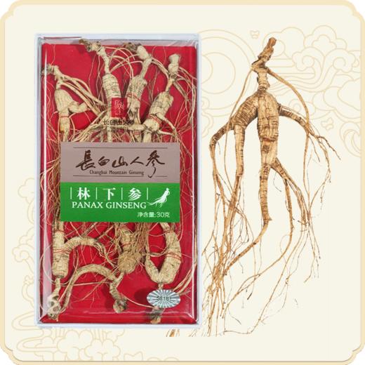 热售【林下“参”残质坚】长白山人参林下参（残参）30克装林下山参整支 商品图0