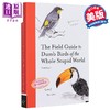 【中商原版】全球笨鸟实地指南 The Field Guide to Dumb Birds of the Whole Stupid World 英文原版 Matt Kracht 科普 商品缩略图0